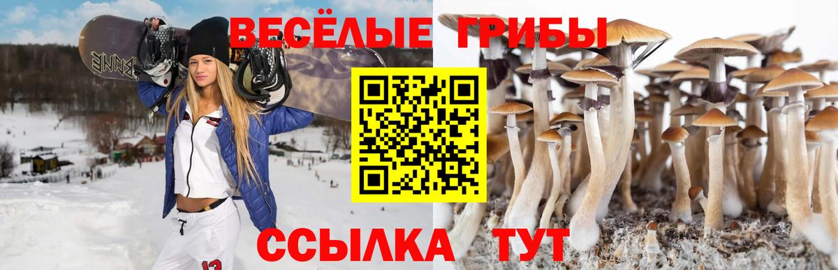 Галлюциногенные грибы Cubensis  Вход с VPN  Псилоцибиновые грибы Psilocybine cubensis  цена наркотик  Курганинск 